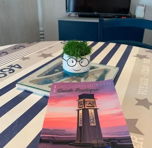 公寓 Idealement Situe, Duplex De Grande Qualite *